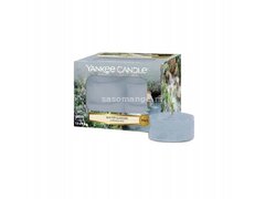 Yankee Candle Water Garden 12 x 9,8 g