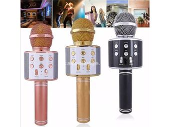 Mikrofon karaoke sa zvučnikom