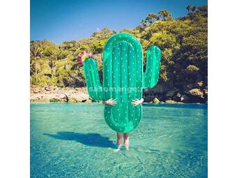 Dusek za bazene Kaktus (novo)