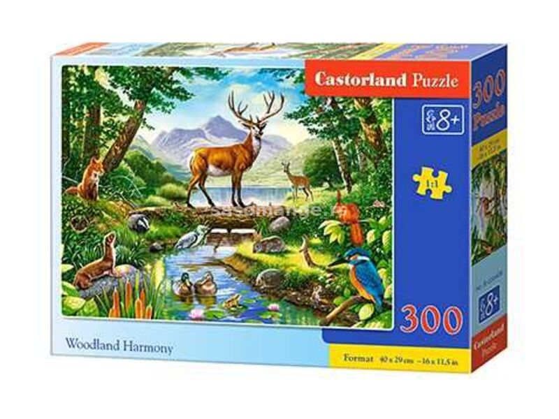 CASTORLAND Harmonija šume/ 300 delova