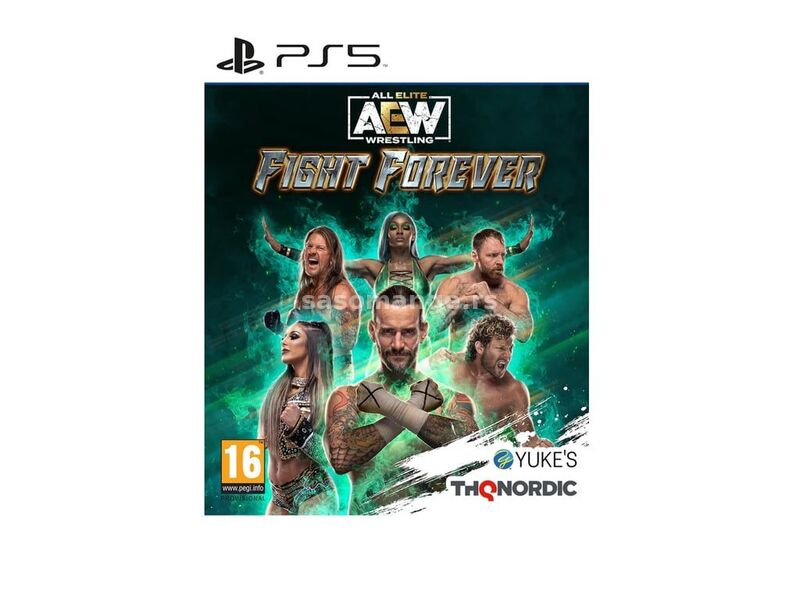 THQ NORDIC PS5 AEW: Fight Forever