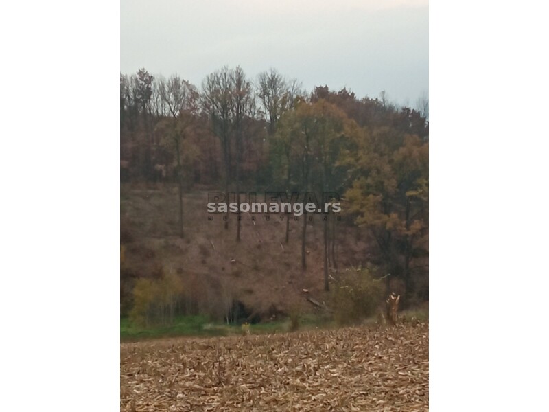 Poljoprivredno i šumsko zemljište u Kragujevcu, naselje Grošnica -1 ha i 86 ari