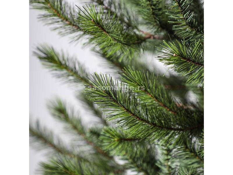 Cedar Pine Evergreen Classics Novogodišnja Jelka 210 cm