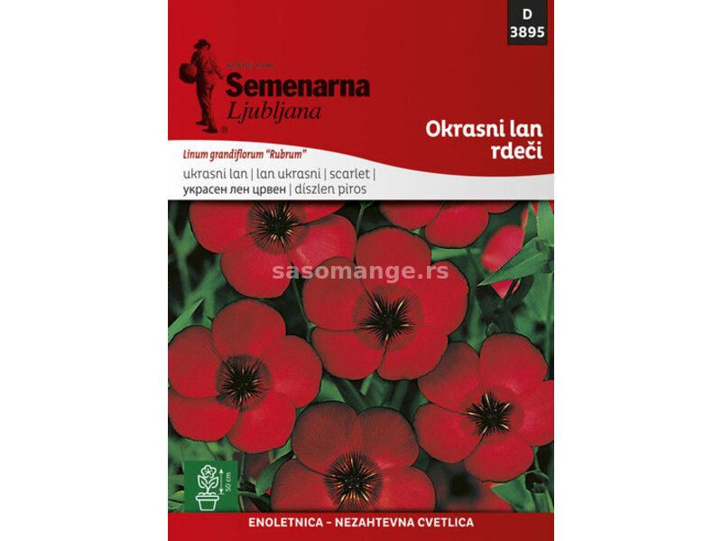 Seme za cveće Ukrasni lan - crveni - Linum grandiflorum Rubrum 3895