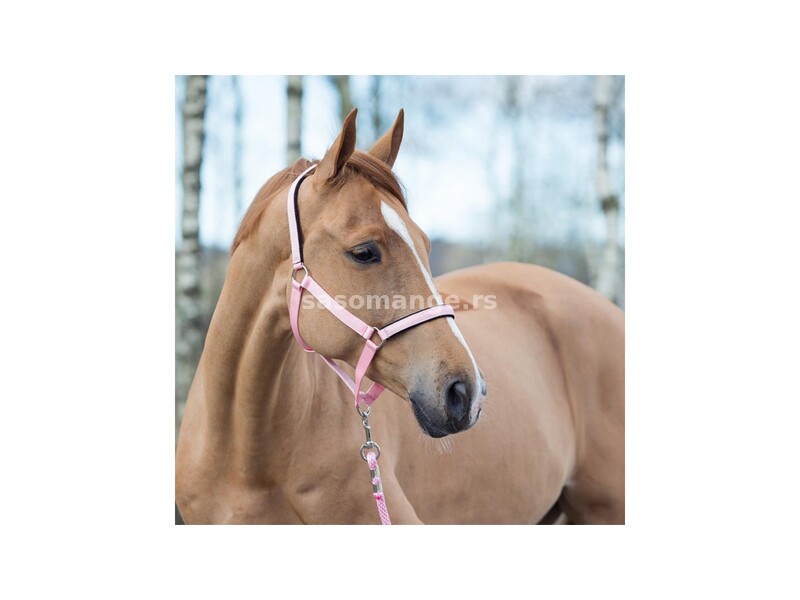Ular za konje pony pink Horze