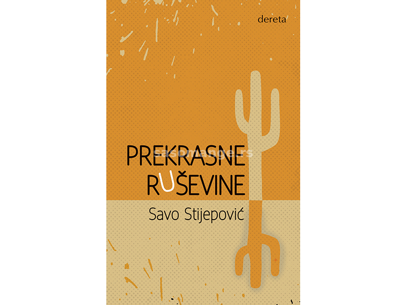 Prekrasne ruševine