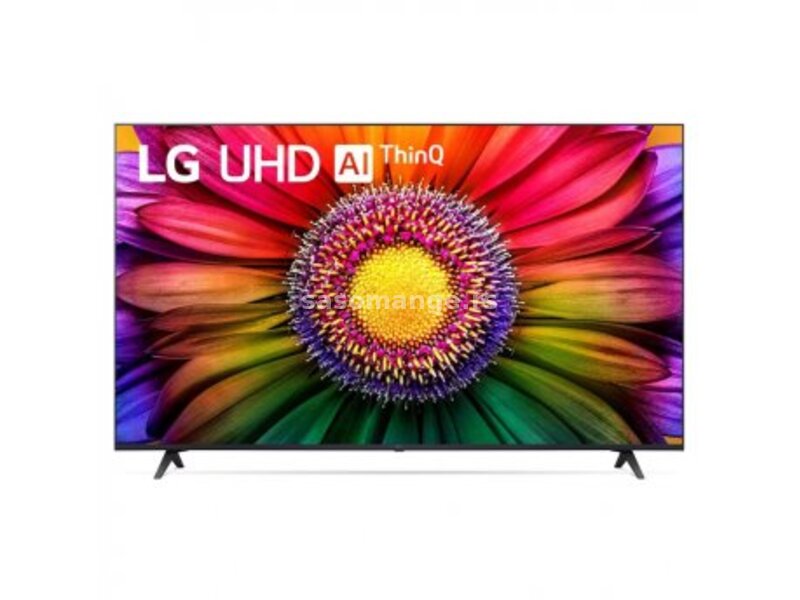 LG UHD UR80 65UR80003LJ 4K Smart TV 2023