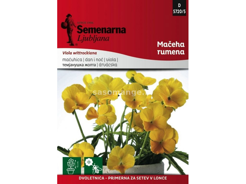 Seme za cveće 5 kesica Dan i noć - žuti - Viola wittrockiana 5720/5
