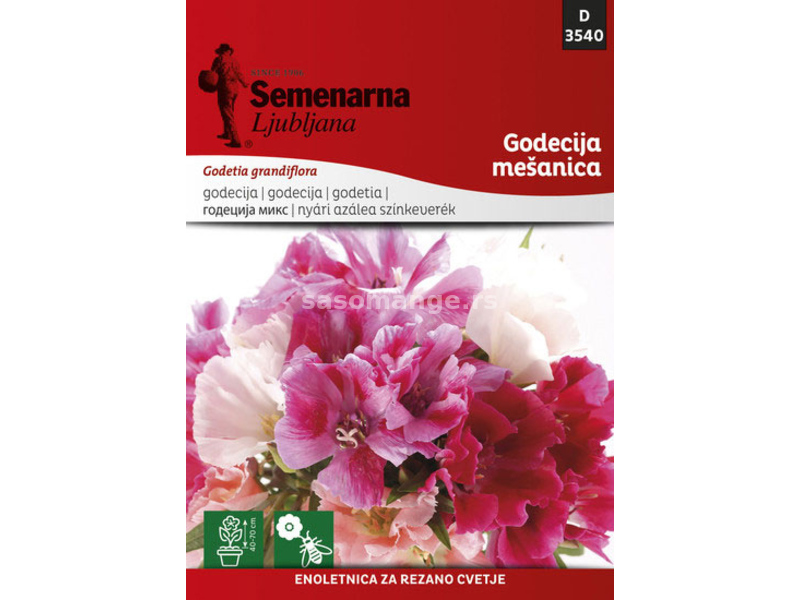 Seme za cveće 5 kesica Godecija mešavina - Godetia grandiflora 3540