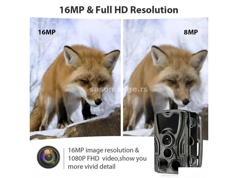 Lovacka kamera HC-804A Kamera za lov