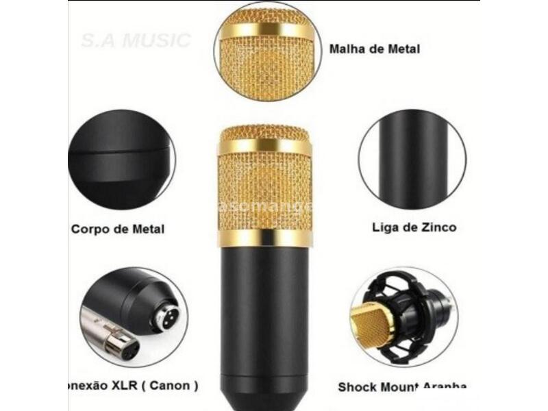 Professionelles Mikrofon Modell 7451