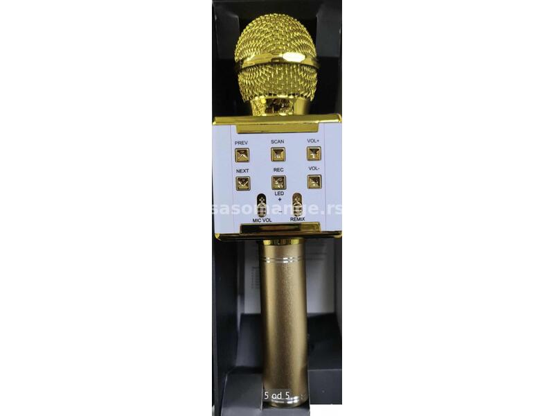 Mikrofon karaoke -DS-868