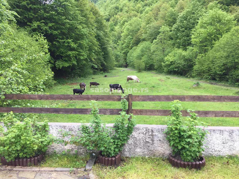 Predivno planinsko imanje u Crnoj Gori na prodaju