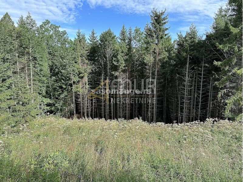 Gorski kotar, Ravna Gora, zemljište 3.963m2, samo dio građevinski!