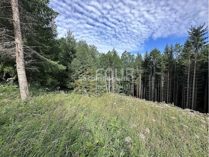 Gorski kotar, Ravna Gora, zemljište 3.963m2, samo dio građevinski!