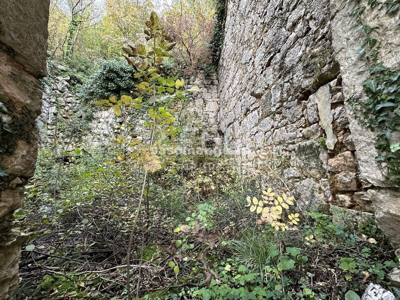 Crikveničko zaleđe, Grižane, kamena ruševina