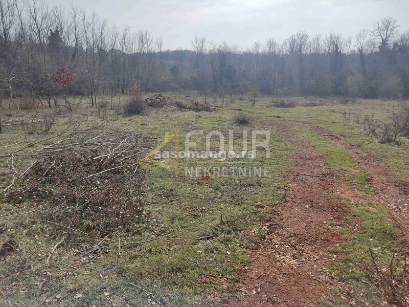 Istra, Baderna, poljoprivredno zemljište 14.850m2