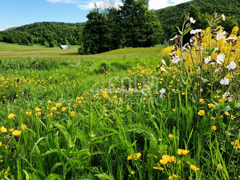 Gorski kotar, Begovo Razdolje, šarmantna goranska kuća 210m2