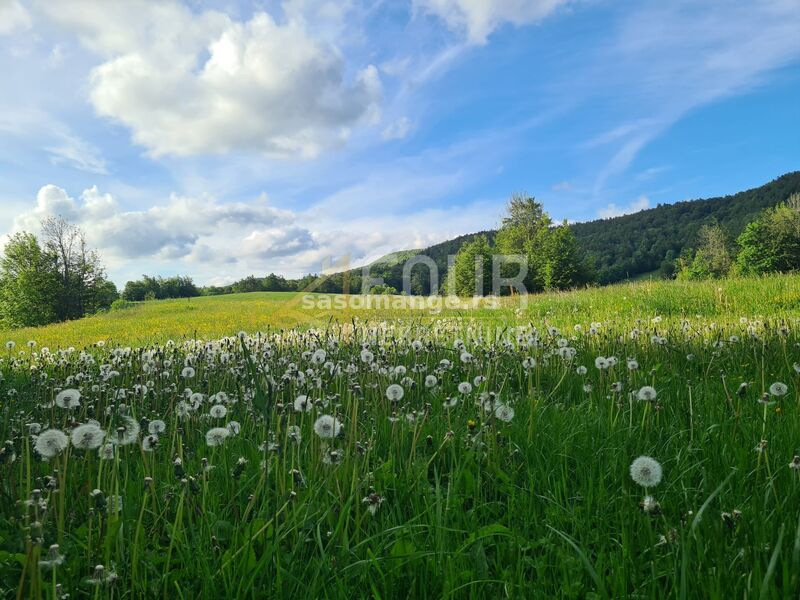 Gorski kotar, Begovo Razdolje, šarmantna goranska kuća 210m2