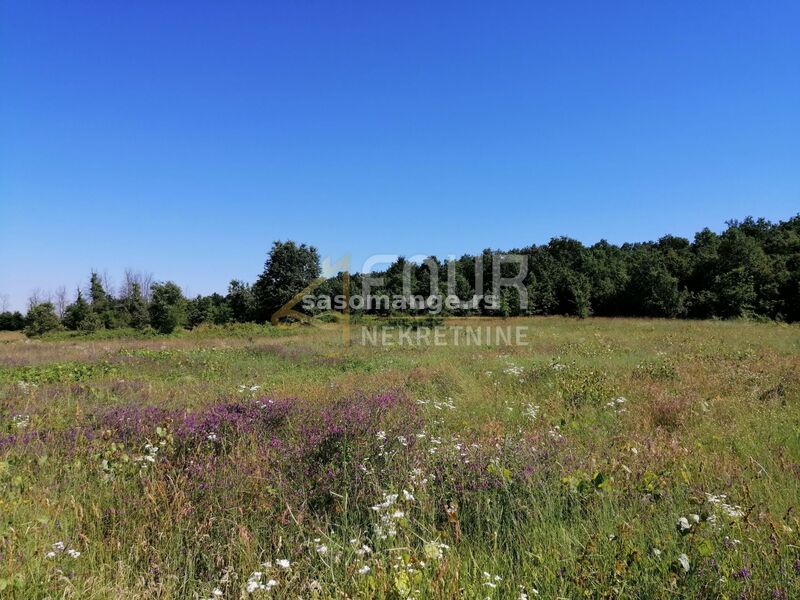 Istra, Sveti Lovreč, poljoprivredno zemljište 8.067m2