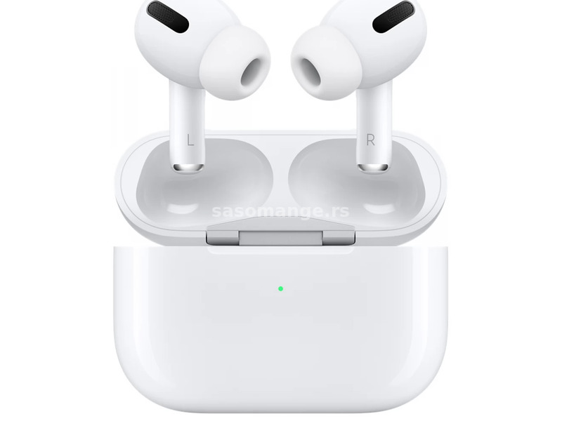 APPLE AirPods Pro charging case