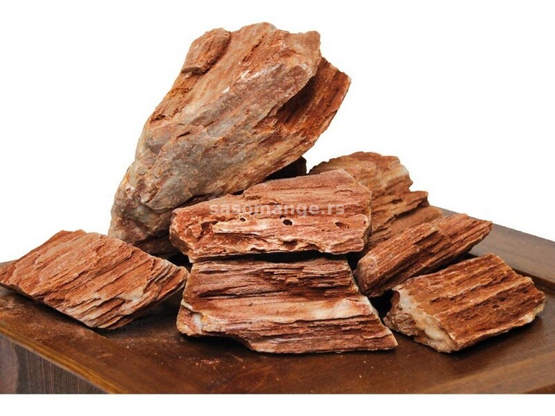 Ukrasni kamen prirodni Driftwood fossil rock S 10-20 cm