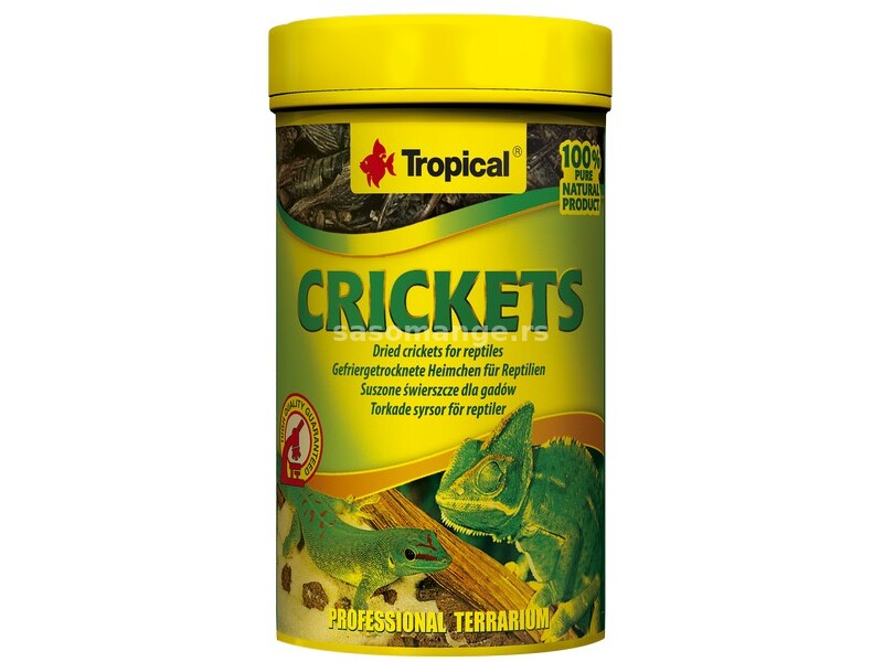 CRICKETS osuseni cvrcci, hrana za reptile 100 ml - 10 g