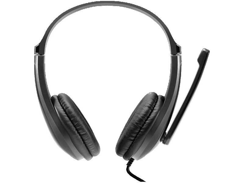 CANYON HSC-1 basic PC headset with microphone, combined 3.5mm plug, leather pads, Flat cable leng...