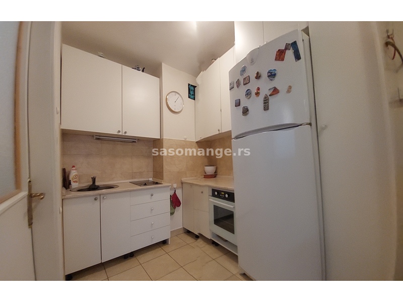 Cvijićeva, 2.0 namešten, pet friendly ID#3388