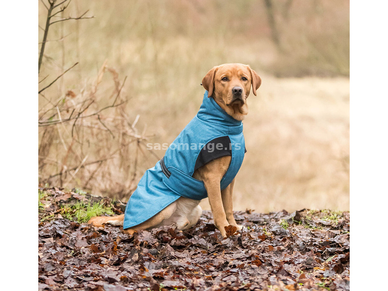 Trixie Zimska jakna za pse Riom blue 45cm 680134