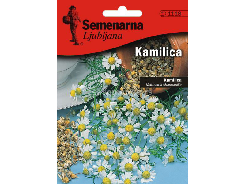 Kamilica - Matricaria chamomilla - seme 5 kesica Semenarna 1118