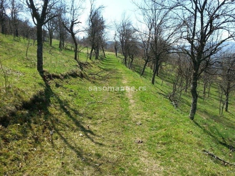 Izdaje se polj.gazdinstvo,9.61,17 ha,Orovac,Seljašnica,Prijepolje