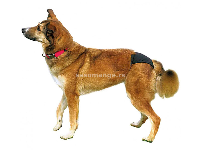 Zaštitne gaćice za ženske pse - struk 50-59cm - boja crna Trixie 23494