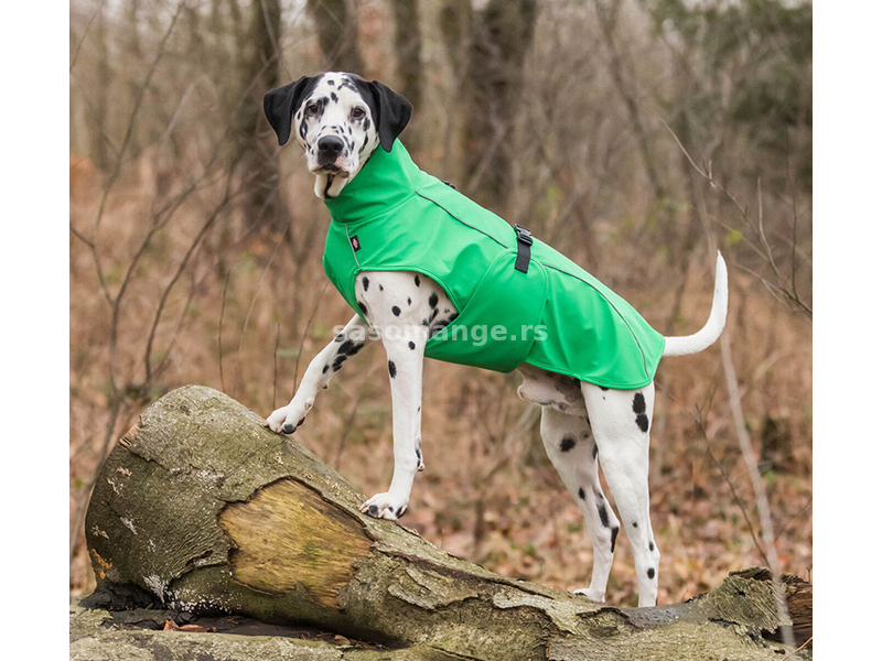 Kišni mantil za pse Vimy Green leđa 40cm Trixie 680233