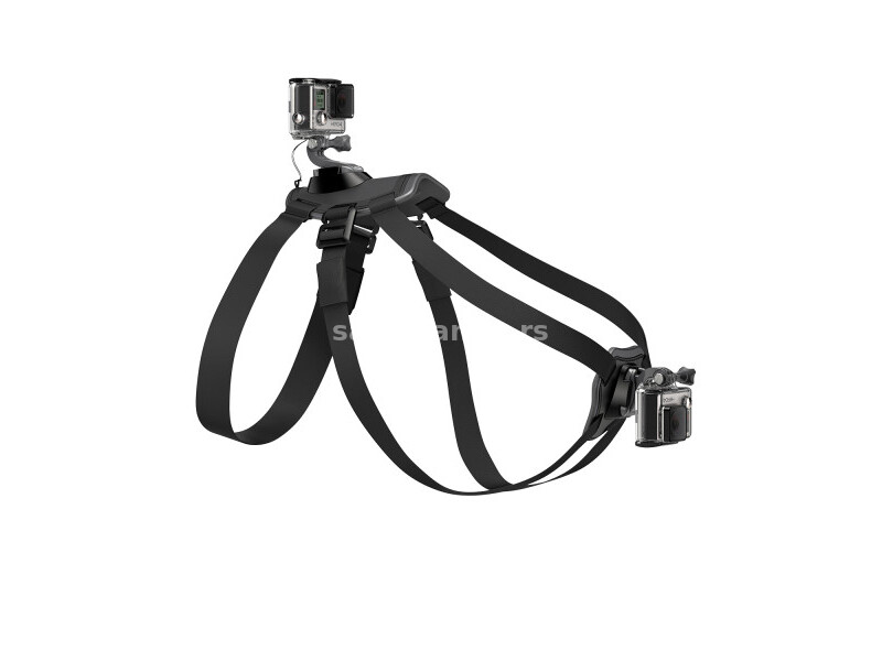 Nosač za pse GOPRO Fetch (Dog Harness)