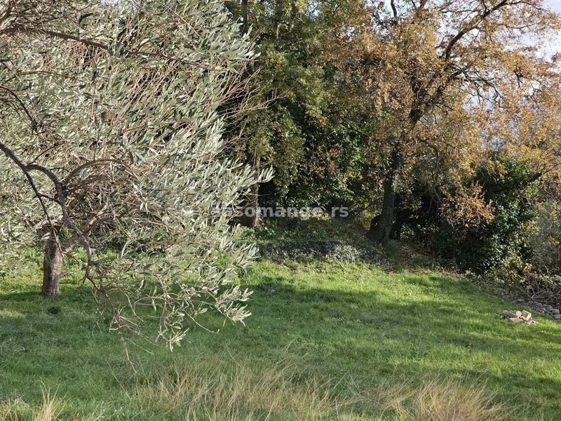 Stara kuća sa velikim placem, Šušanj