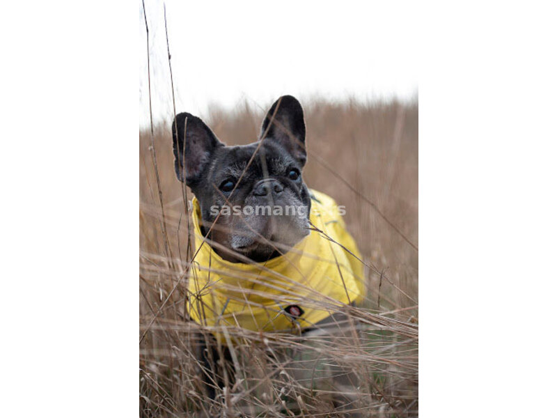 Kišni mantil za psa Vimy Yellow leđa 30cm Trixie 67971