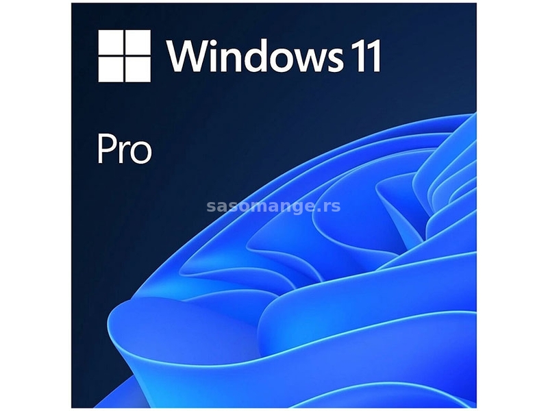 Microsoft Windows Pro 11 FPP 64-bit (HAV-00164)