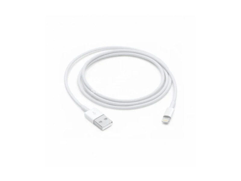 Apple Lightning to USB Cable (1 m)