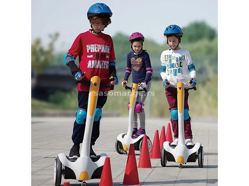 Dečiji Self-Balancing Electric Scooter 12V Sivi Rollplay