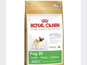 ROYAL CANIN PUG (MOPS) - ADULT