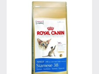 ROYAL CANIN SIAMESE 38