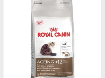 ROYAL CANIN AGEING +12