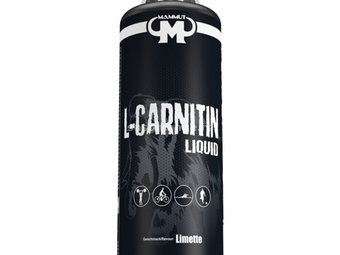 L Carnitine 500ml