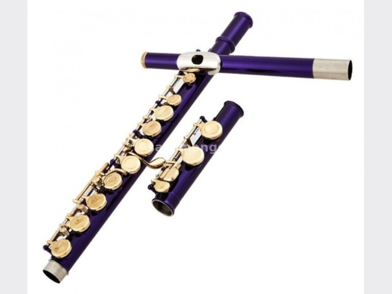 Firefeel W041 Flauta 16H With E-Mech Purple Body gold key