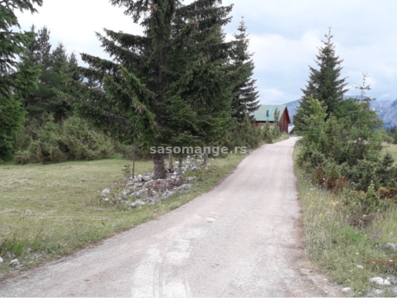 Žabljak - prodaja placa