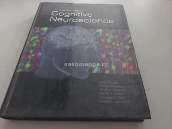 Principles of cognitive neuroscience ENG