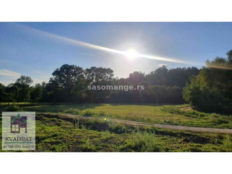 Seosko imanje sa dve kuće 250 m, 1,6 ha, Lazarevac, Mirosaljci 75 000