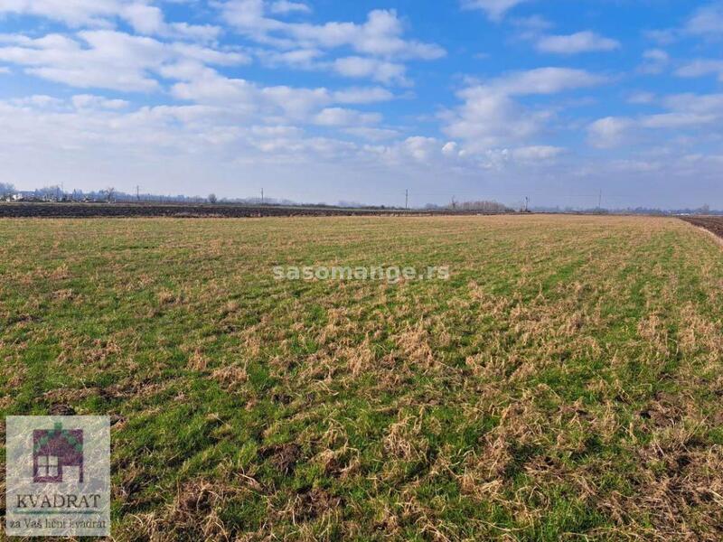 Građevinski plac 65 ari, Obrenovac 50 000