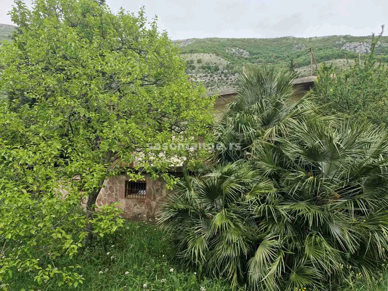 Jednospratna kuca na vecem placu sa pogledom na more, Bar, Sutomore